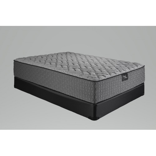 QUEEN SIZE ANNIVERSARY LUXURY FIRM Mattress/Box Spring